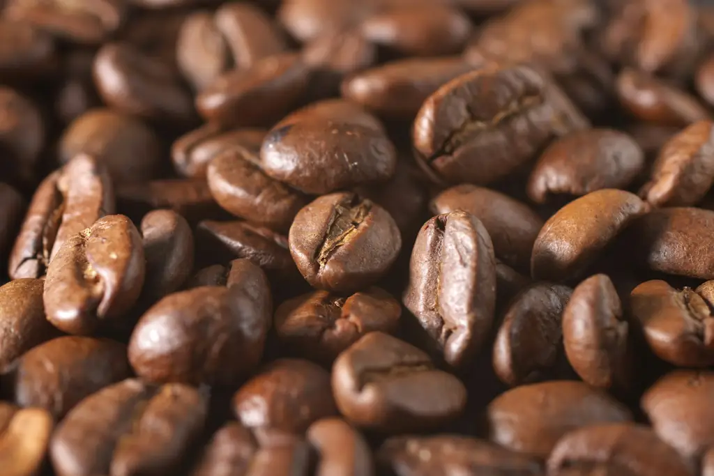Macro photo of medium-roast coffee beans