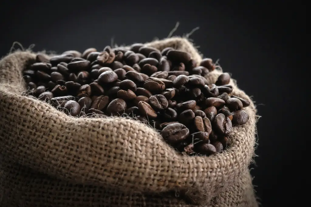 Roasted coffee beans spilling from an open burlap sack