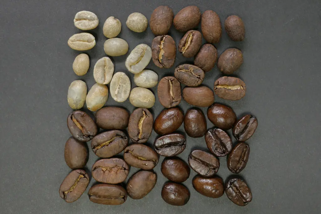 Green unroasted and dark roasted coffee beans arranged side by side