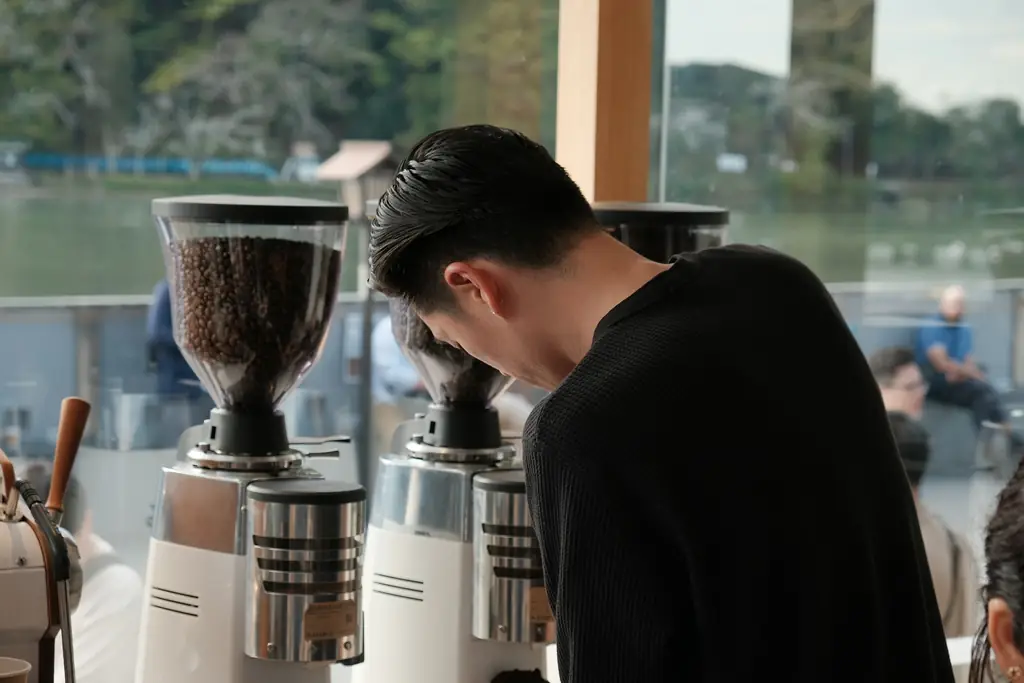 Barista weighing coffee beside a row of hopper espresso grinders
