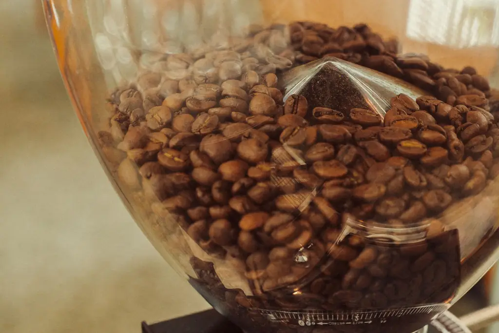 Coffee beans in the clear hopper of an electric burr grinder (illustrative)