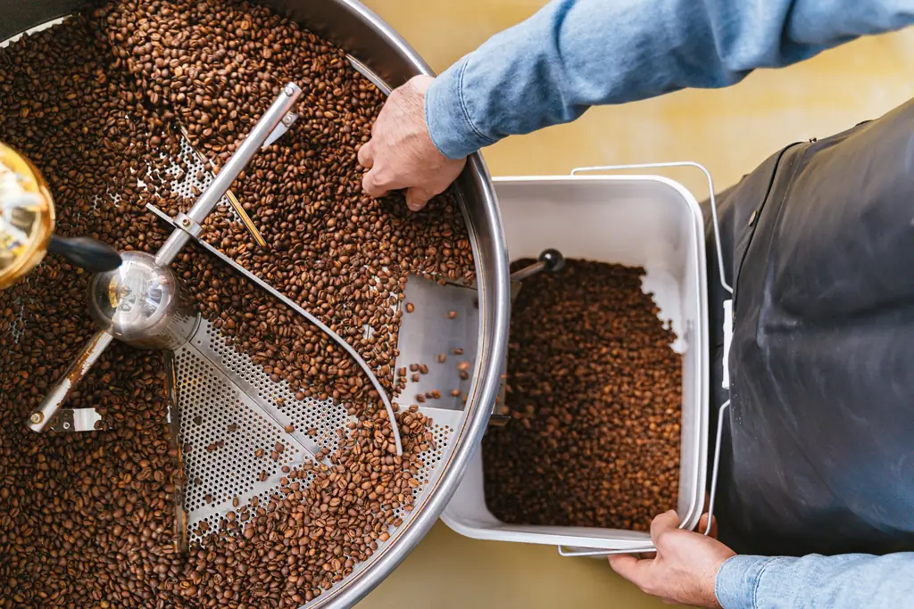 Hands moving freshly roasted beans from a roaster's cooling tray into a bin, seen from above