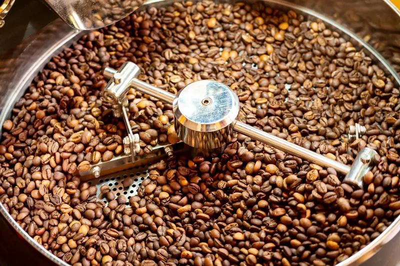 Roasted coffee beans being stirred in a roaster's cooling tray